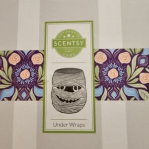 Pair of under wraps Scentsy warmers